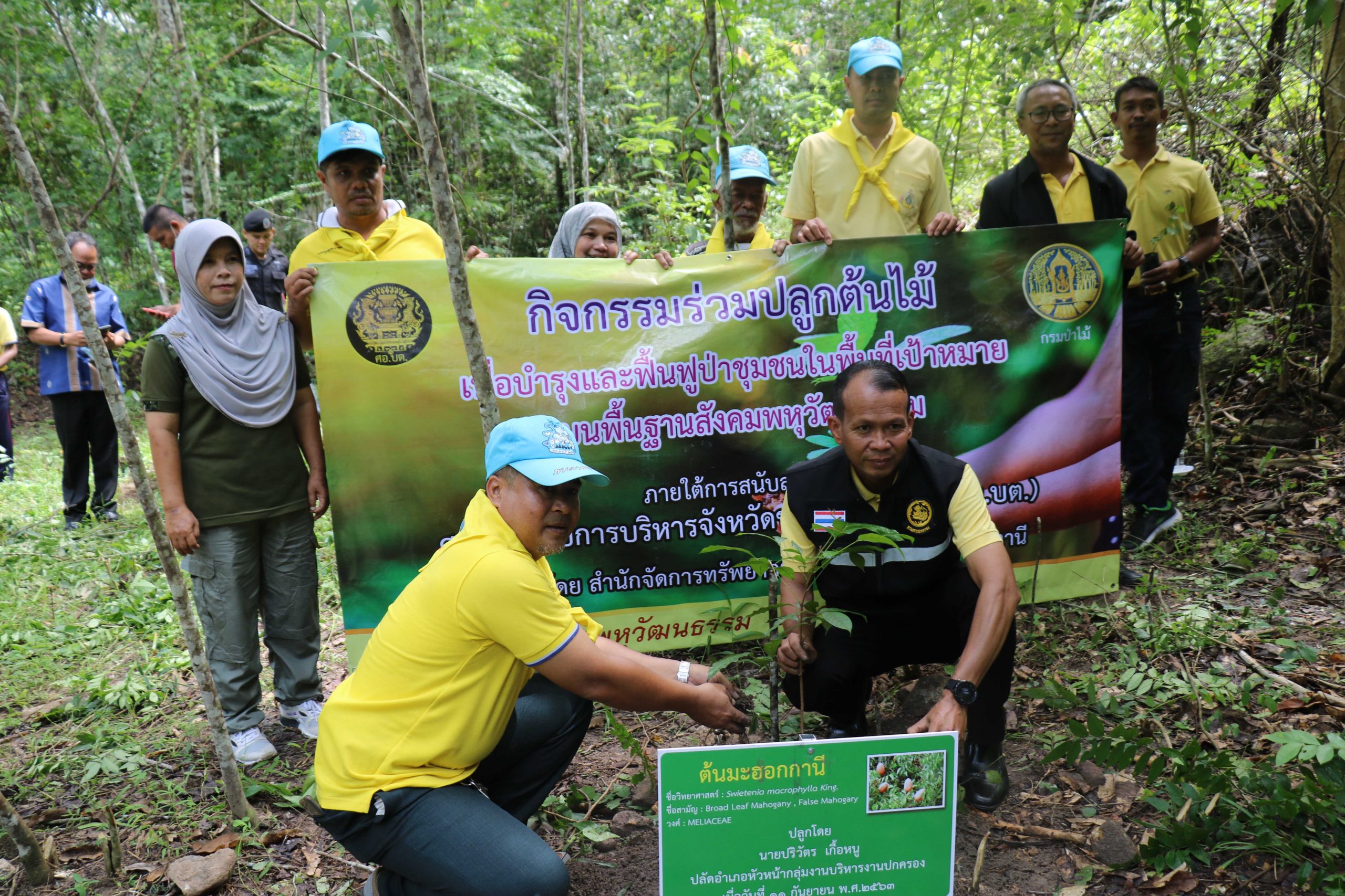 Menjaga Kelestarian Hutan Rakyat Pattani Thailand Selatan