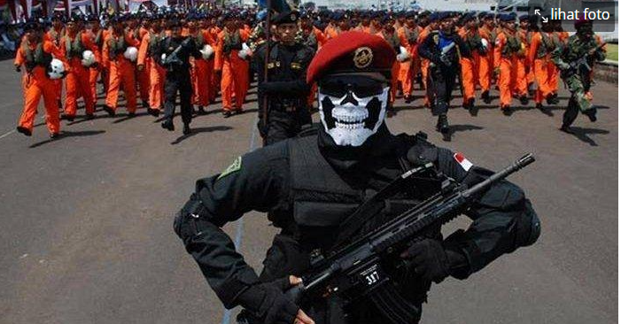 Ini 5 Fakta yang Anda Harus Tahu Soal Denjaka, Pasukan Super Elite TNI AL