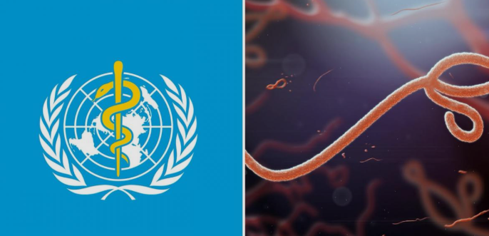 91 Orang Tewas karena Ebola di Kongo, Belum Ada Vaksin untuk Strain Saat Ini