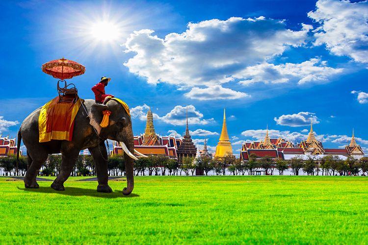 Ini Alasan Thailand Memperingati Hari Gajah Tiap Tahun