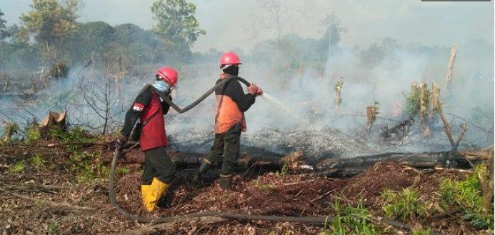 Kebakaran Hutan-Lahan di Indonesia 2021 Naik 15%, NTT dan NTB Tertinggi