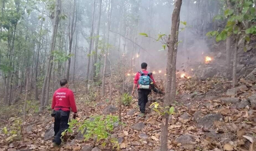 Ini Cara Thailand Perang Melawan Kebakaran Hutan dan Lahan