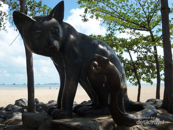 Kisah Tikus dan Kucing dari Sebuah Pantai di Thailand