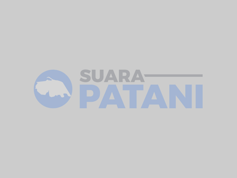 ISBI Aceh tampil di Melayu Day of Yala Thailand