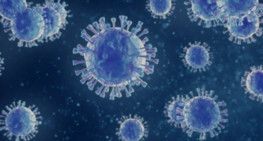 Thailand Waspada Fenomena ‘Penyakit X’ yang Tewaskan 79 Orang di Kongo