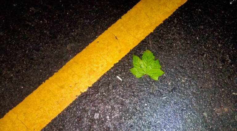 Seorang Polisi Ditembak Setelah Pulang dari Masjid di Thailand Selatan