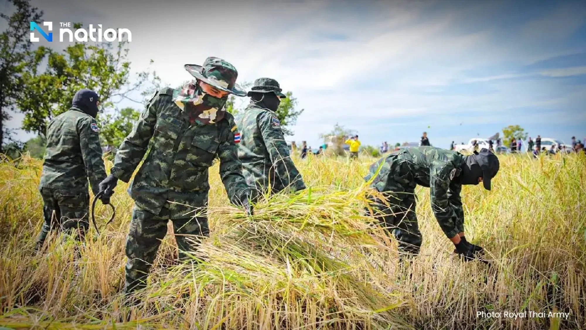 Tentara Thailand Panen Padi Bantu Petani Perbatasan, Tegaskan Kedaulatan Thailand