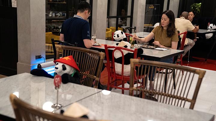 Cara Unik Cafe di Thailand Terapkan Social Distancing