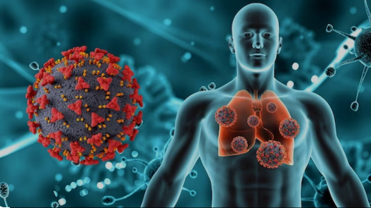 Tak Ada Kasus Virus HMPV di Indonesia, di Malaysia Ada 327 Kasus HMPV